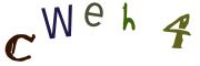Recopier le code Captcha de l'image